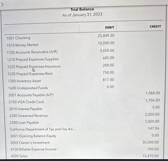 Trial Balance
As of January 31, 2023