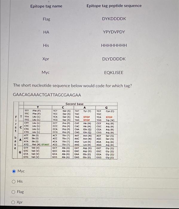 Solved The short nucleotide sequence below would code for | Chegg.com
