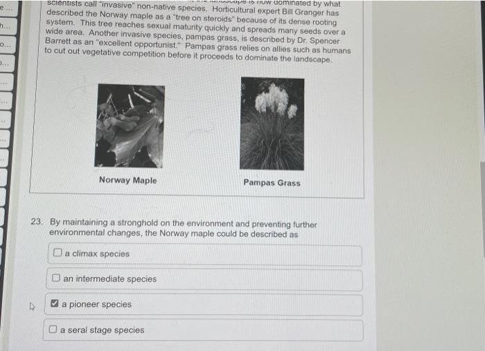 scientists call invasive non-native species, Horticultural expert Bill Granger has described the Norway maple as a tree on