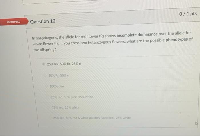 Solved In Guinea Pigs, The Allele For Black Fur (B) Is | Chegg.com