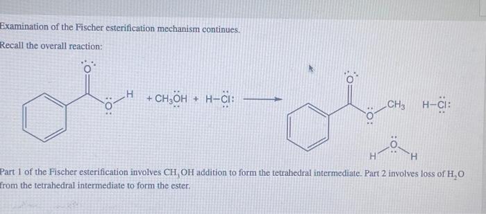 Solved Examination of the Fischer esterification mechanism | Chegg.com