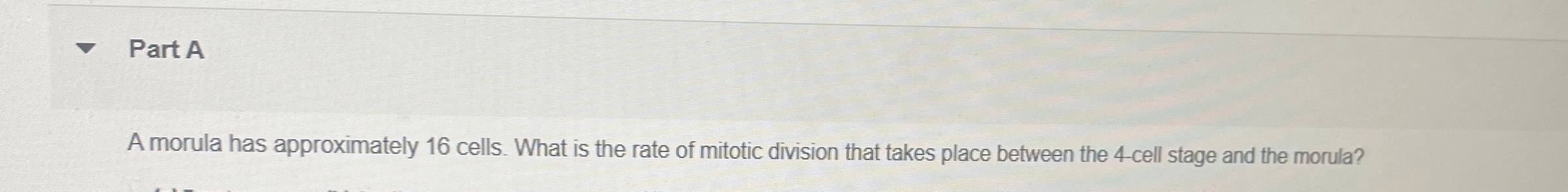 Solved Part Aa Morula Has Approximately 16 ﻿cells. What Is 