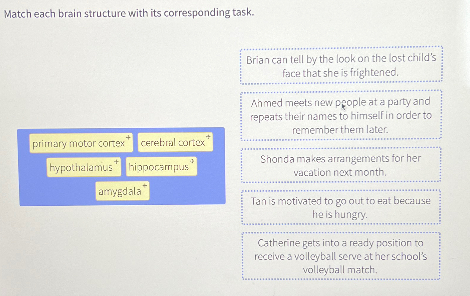 Match Each Brain Structure With Its Corresponding | Chegg.com