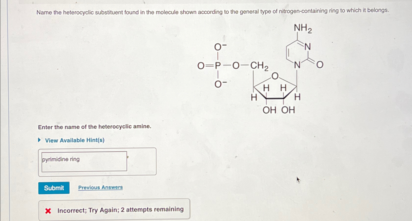 Solved Name the heterocyclic substituent found in the | Chegg.com