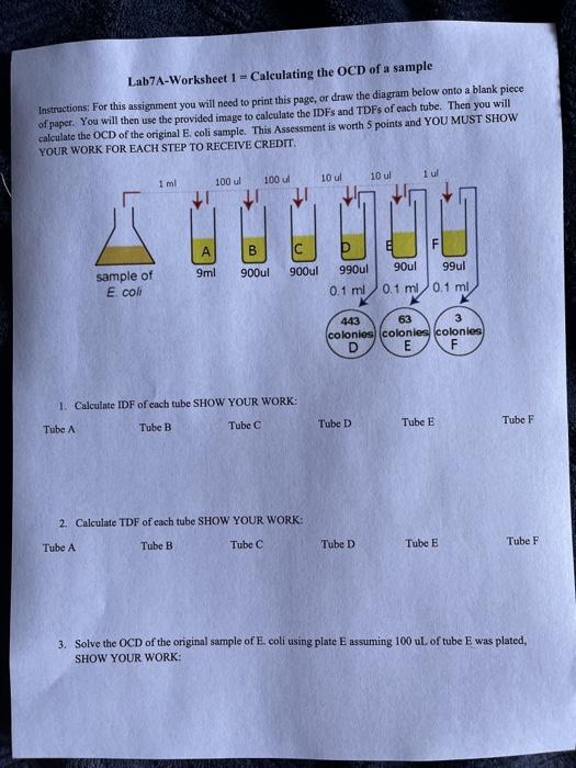 Solved Lab7A-Worksheet 1 - Calculating the OCD of a sample | Chegg.com