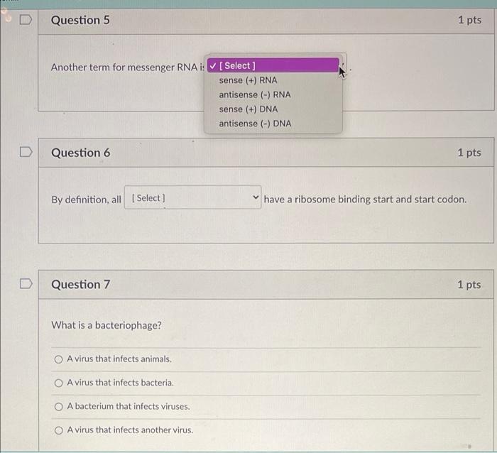 Solved Question 5 1 pts Another term for messenger RNA: | Chegg.com