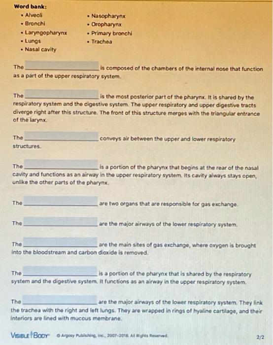 solved-word-bank-alveoli-bronchi-laryngopharynx-chegg