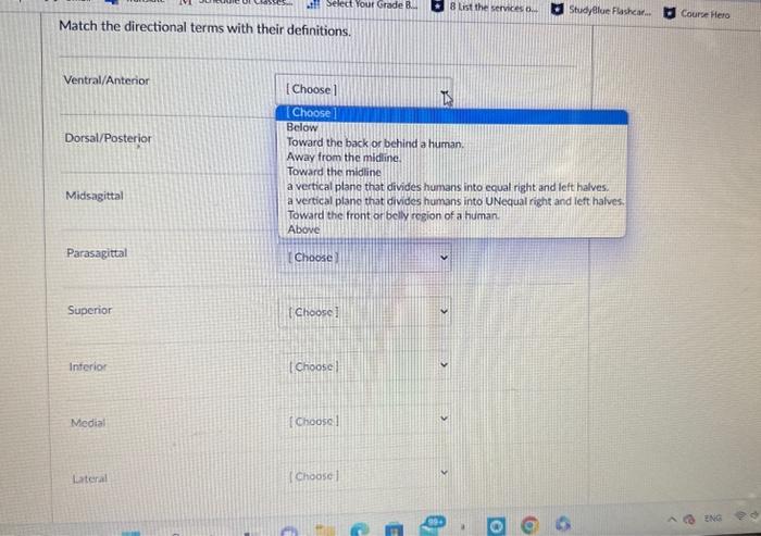 Solved Match the directional terms with their definitions. | Chegg.com