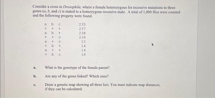 Solved 15 Another Cross In Drosophila Involved The Chegg Com