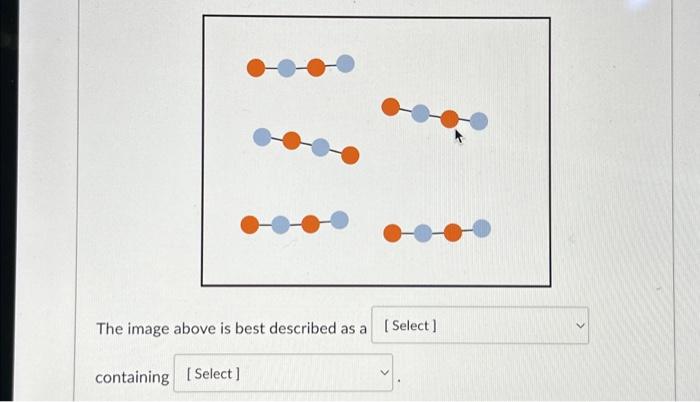 The image above is best described as a containing | Chegg.com