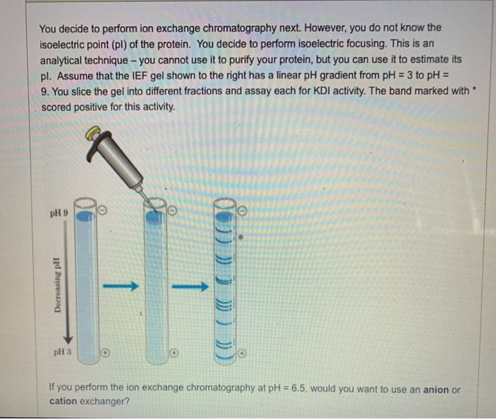 Solved if you perform ion exchange chromatography at pH=6.5