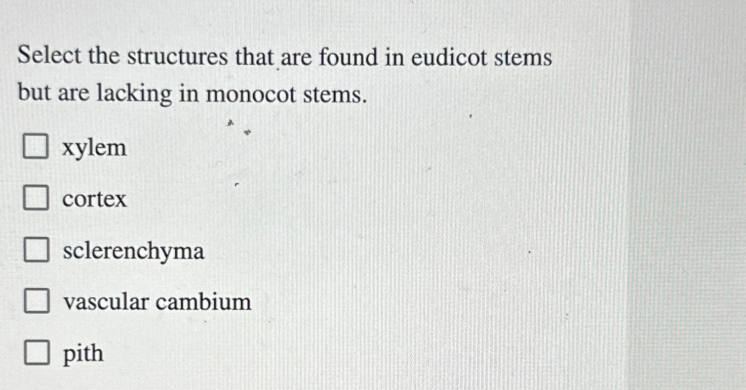 Solved Select the structures that are found in eudicot stems | Chegg.com