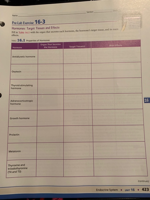 De Section Name Pre Lab Exercise 16 3 Hormones Chegg 