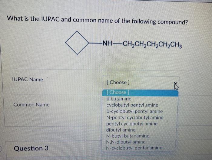 WHAT IS COMMON NAME AND IUPAC NAME visual data 4