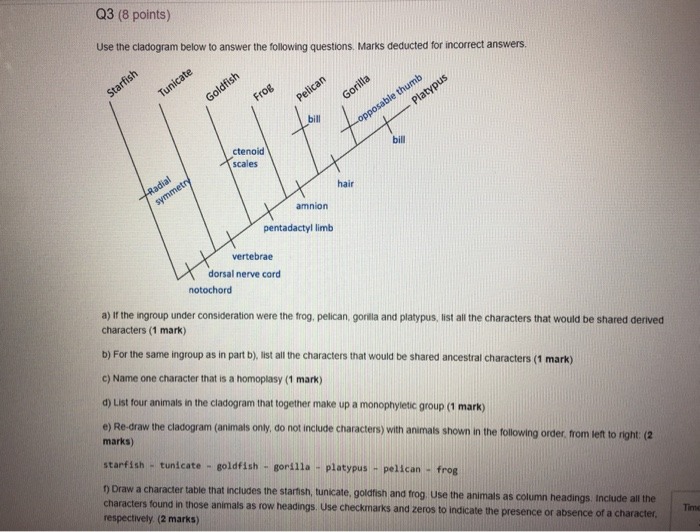 Solved Q3 (8 Points) Use The Cladogram Below To Answer The | Chegg.com