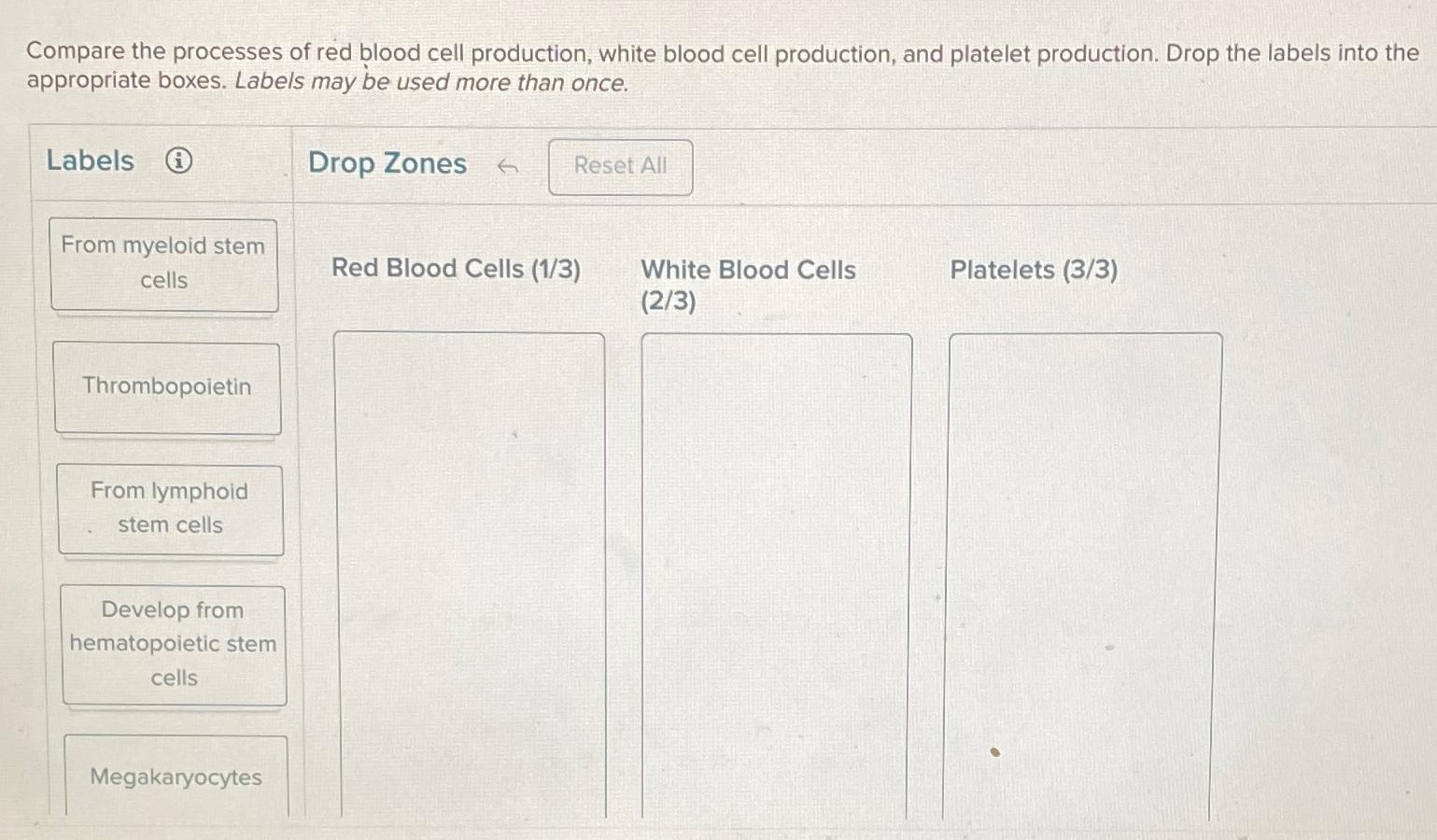 solved-compare-the-processes-of-red-blood-cell-production-chegg