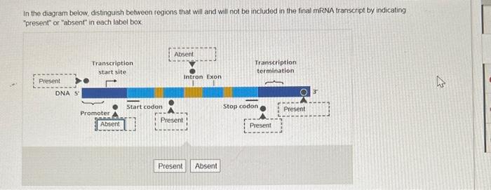 Solved In the diagram below, distinguish between regions | Chegg.com