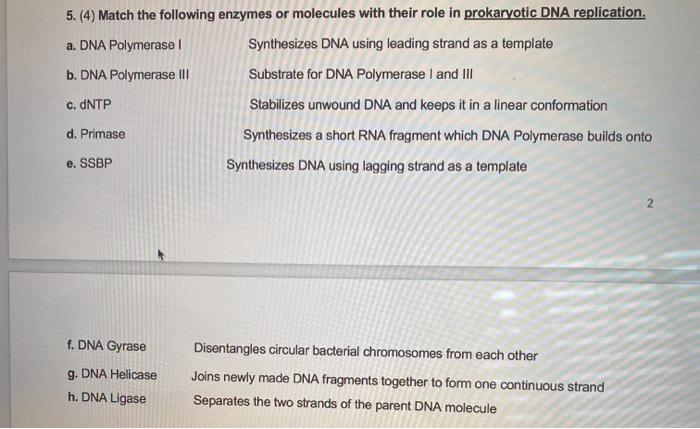 following enzymes or molecules