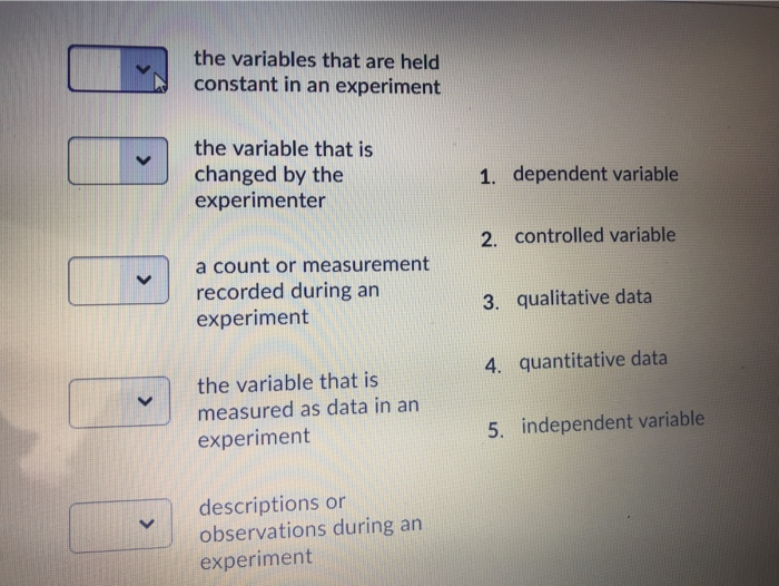 constant variables in this experiment