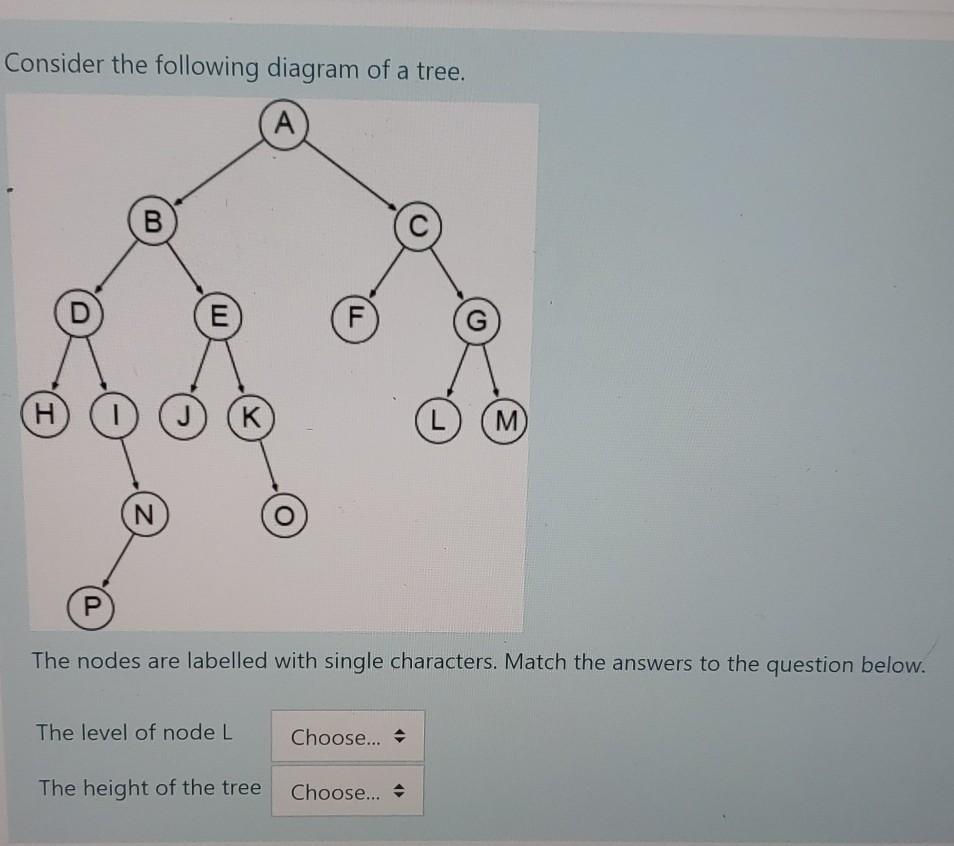 Solved Express the following using Big-O notation: 14n + 14 | Chegg.com