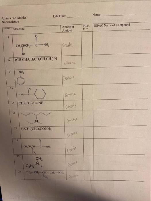 Solved Name Lab Time: Amines and Amides Nomenclature 19, 20 | Chegg.com