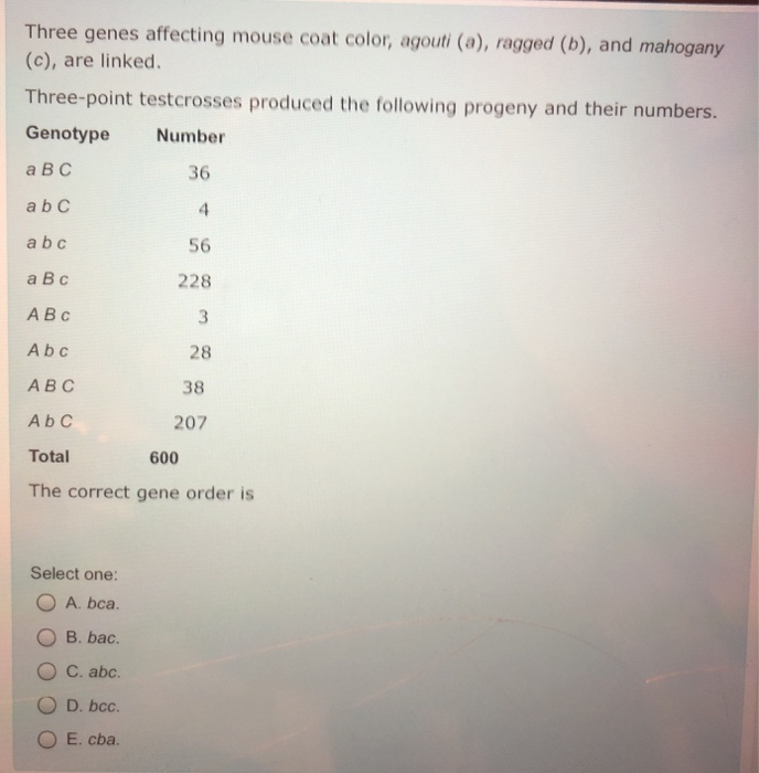 Solved Three genes affecting mouse coat color, agouti (a),