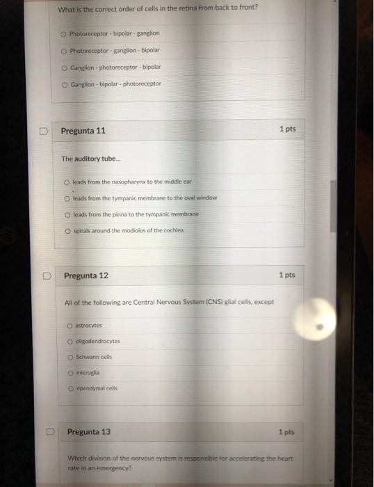 Solved what is the correct order of cells in the retina from chegg