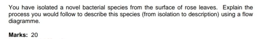 Solved You have isolated a novel bacterial species from the | Chegg.com