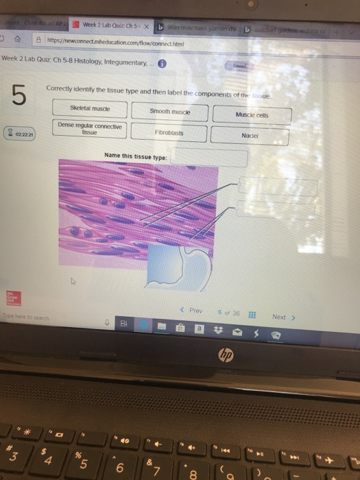 Solved Correctly Identify The Tissue And Then Label The | Chegg.com