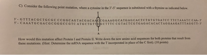 Solved C) Consider the following point mutation, where a | Chegg.com