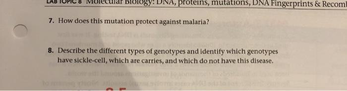 Solved Exercise 8 4 Natural Selection In Humans Procedure Chegg Com