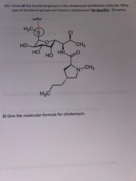 Solved 3A) Circle all the functional groups in the | Chegg.com