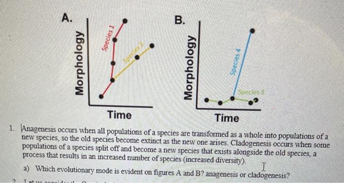 Solved A. B. Species 1 Morphology Morphology Species 4 | Chegg.com