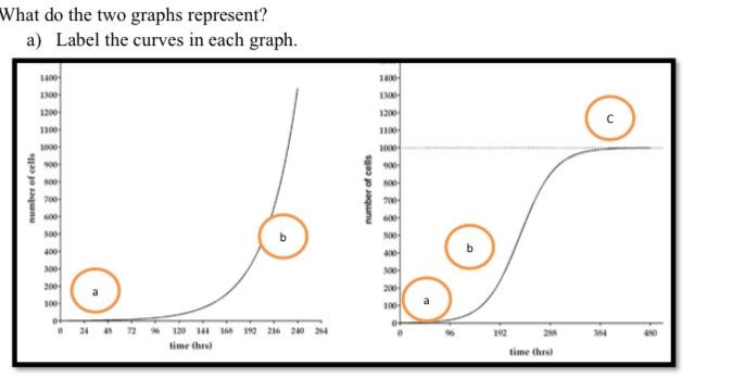 solved-what-do-the-two-graphs-represent-a-label-the-curves-chegg