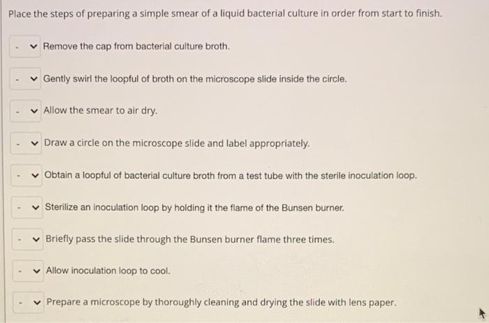 Solved Place the steps of preparing a simple smear of a | Chegg.com