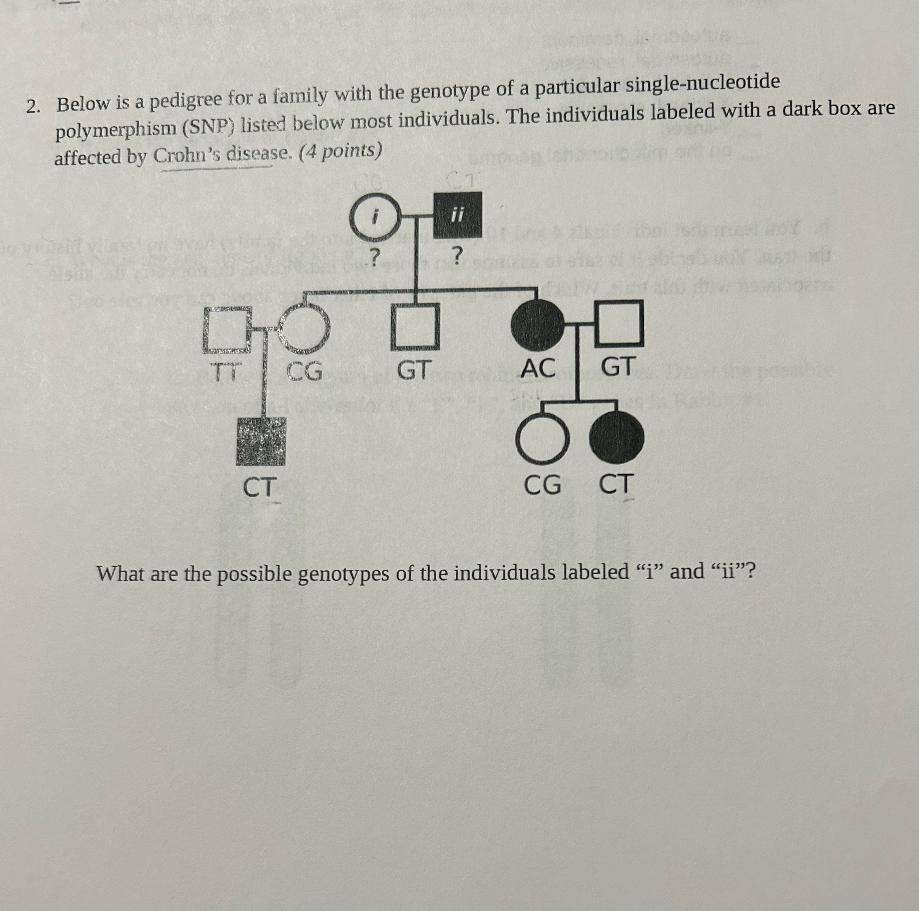 Solved Below is a pedigree for a family with the genotype of | Chegg.com