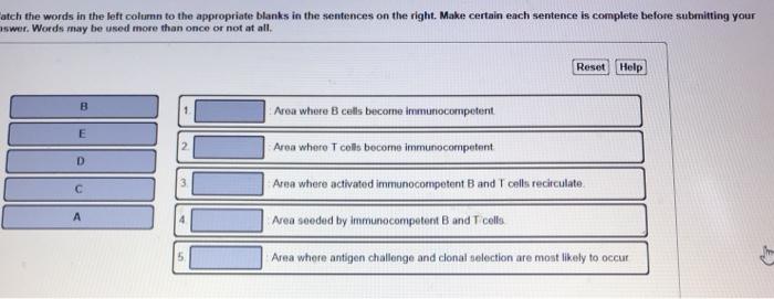 Solved atch the words in the left column to the appropriate | Chegg.com