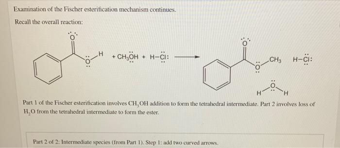 Solved Examination of the Fischer esterification mechanism | Chegg.com
