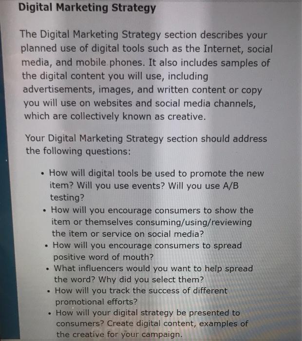 Digital Marketing Strategy The Digital Marketing | Chegg.com