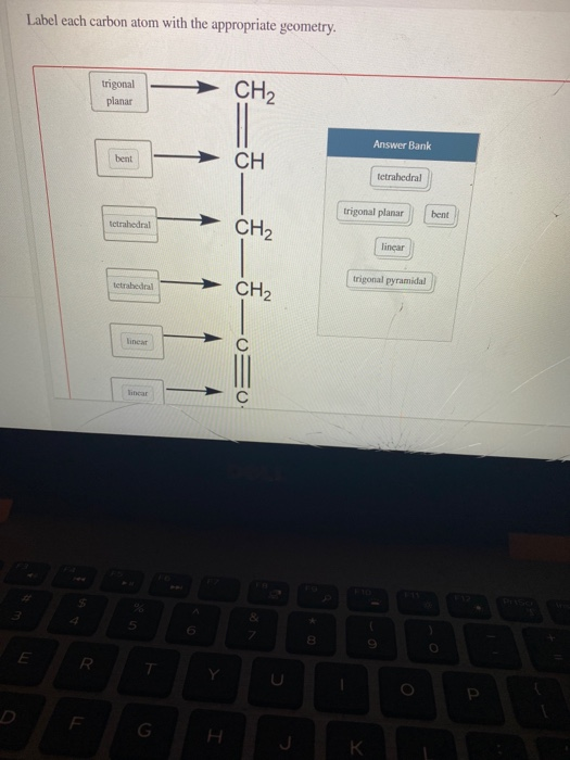 Solved Label each carbon atom with the appropriate geometry.