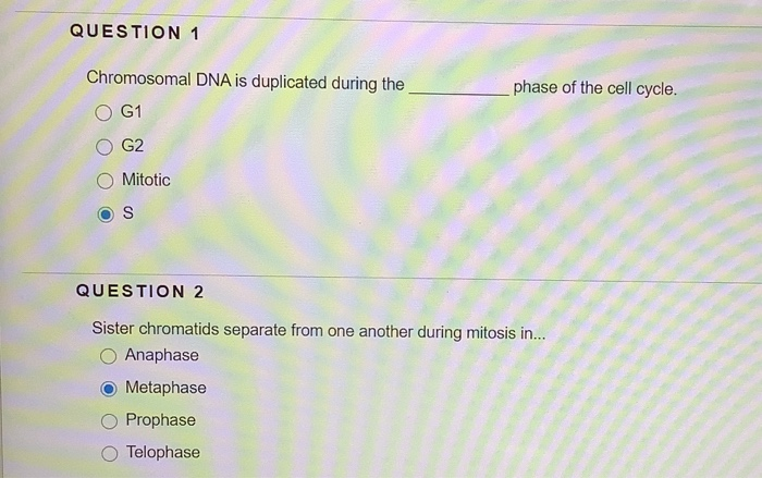 Solved QUESTION 1 Chromosomal DNA is duplicated during the | Chegg.com