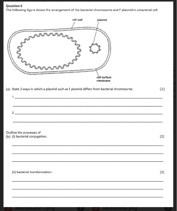 Solved Question 6 The following figure shows the arrangement | Chegg.com