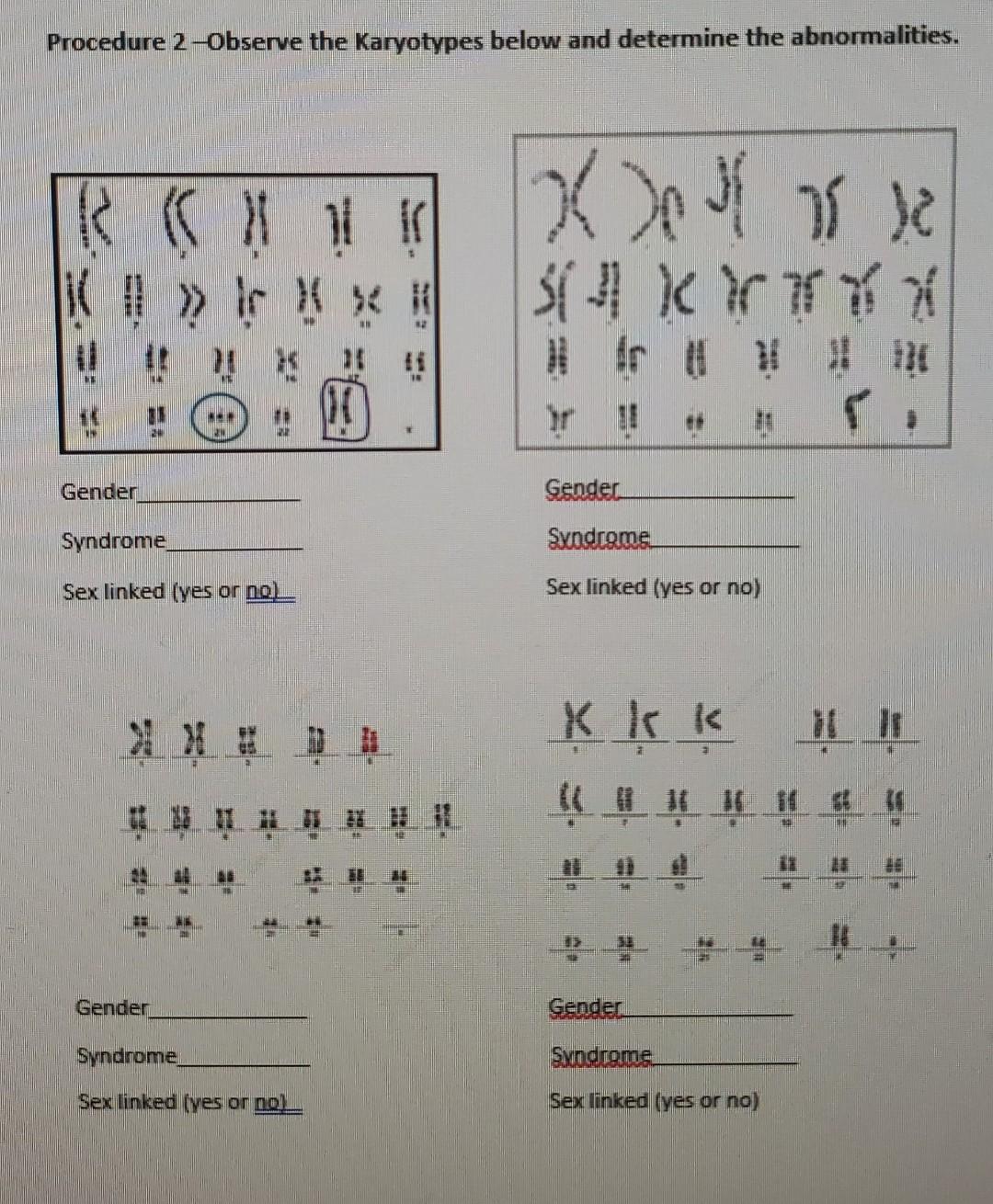 Solved Procedure 2-Observe the Karyotypes below and | Chegg.com