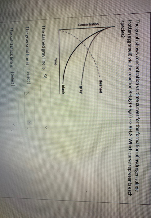 Solved The graph shows concentration vs. time curves for the | Chegg.com