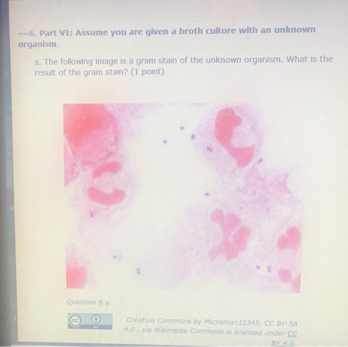 Solved ww6. Part VI: Assume you are given a broth culture | Chegg.com