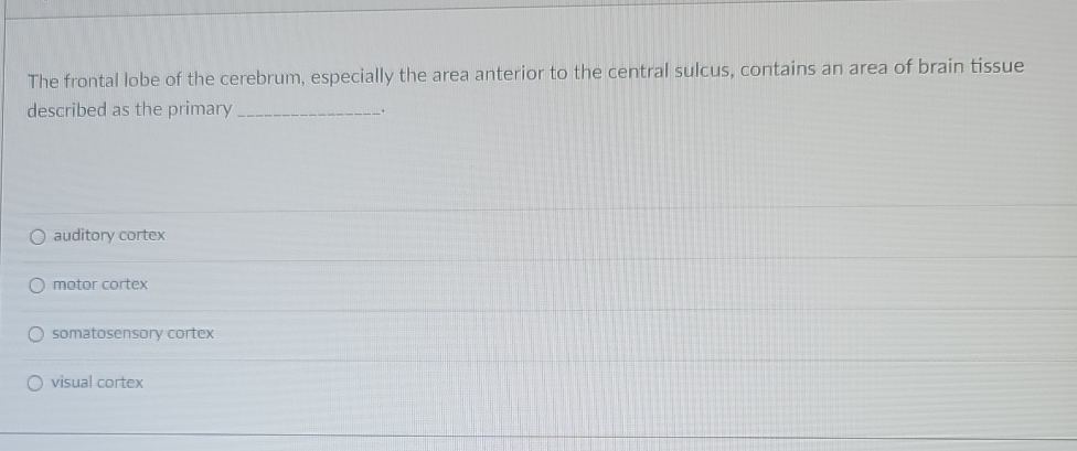 Solved The frontal lobe of the cerebrum, especially the area | Chegg.com