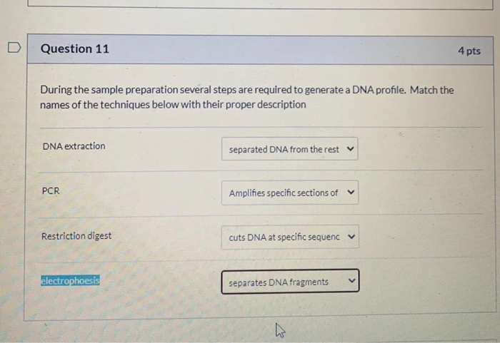 Solved Question 11 4 pts During the sample preparation | Chegg.com