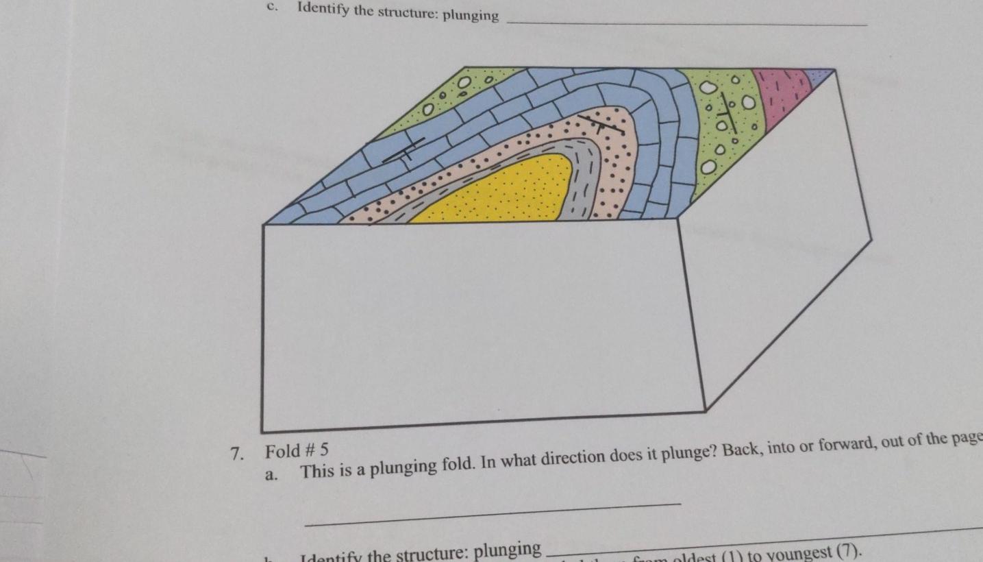 Solved ld # 5 This is a plunging fold. In what direction | Chegg.com