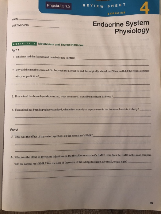Physi Ex 9.0 Review Sheet Exercise Name Endocrine | Chegg.com Physi Ex 9.0 Review Sheet Exercise Name Endocrine | Chegg.com