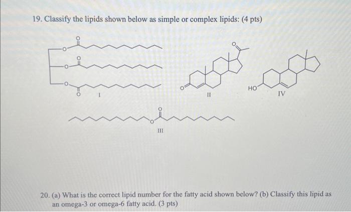 Solved 19. Classify the lipid shown below as a simple or | Chegg.com